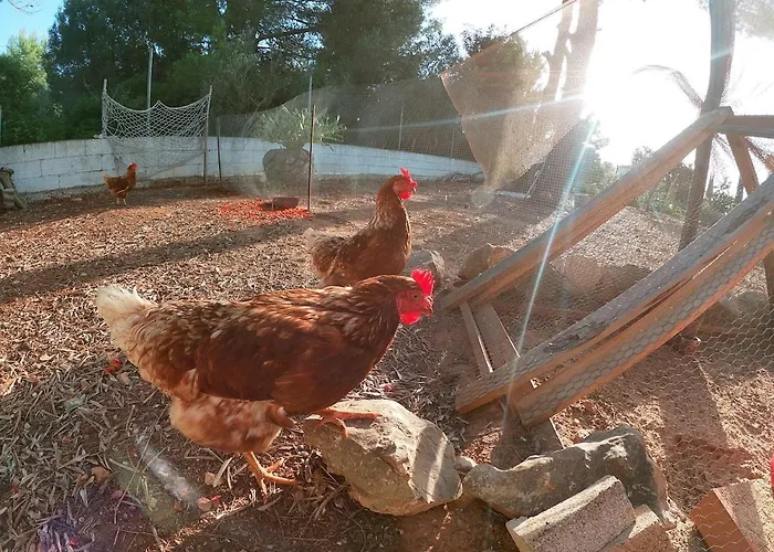 شقة Ca Masia Con Piscina Y Barbacoa