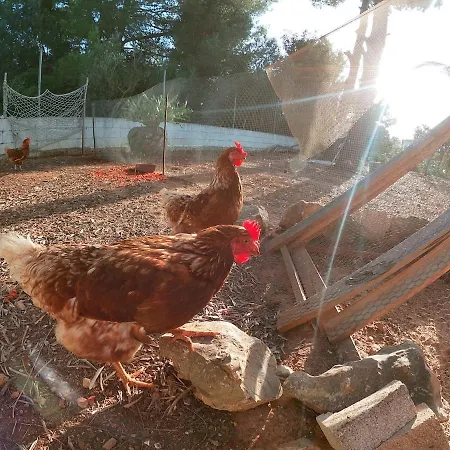 Apartment Ca Masia Con Piscina Y Barbacoa