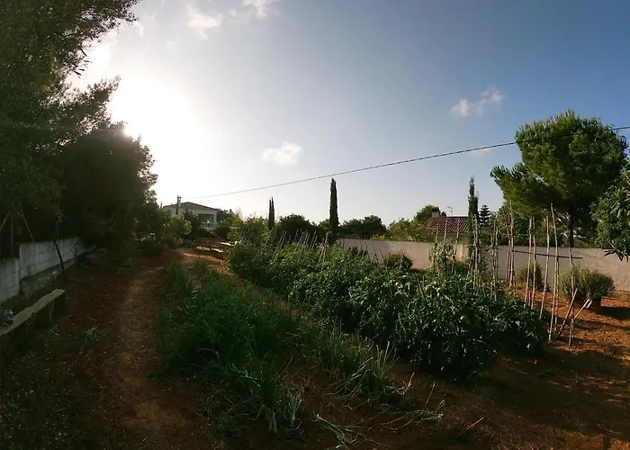 Ca Masia Con Piscina Y Barbacoa